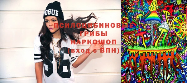мет Каменка