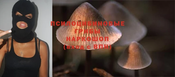 мет Каменка