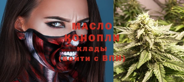 мет Каменка