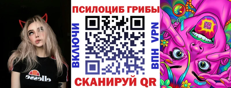 Купить закладки  Советская Гавань  Псилоцибиновые грибы Psilocybine cubensis 